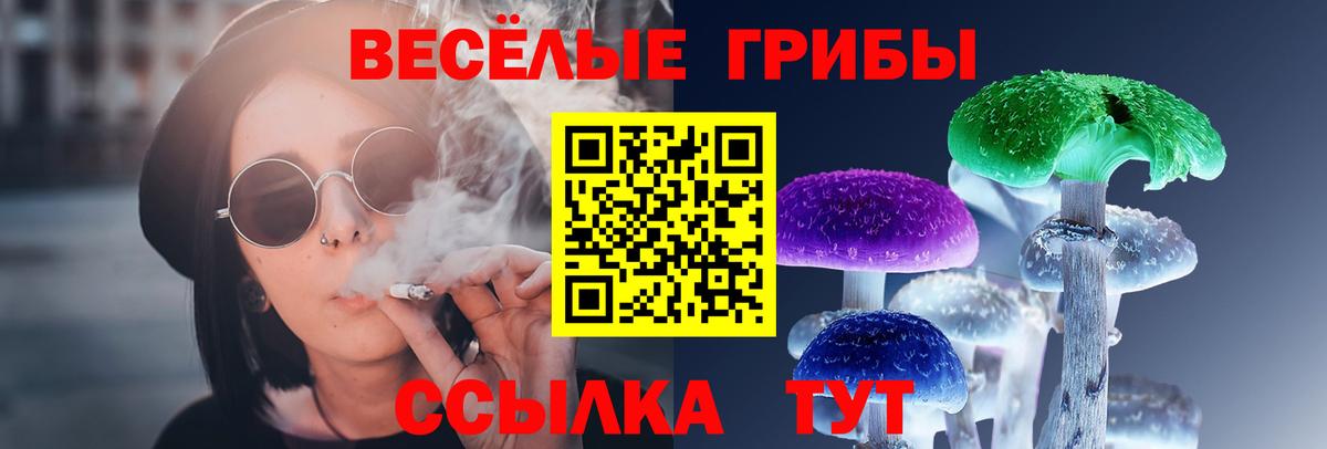 Псилоцибиновые грибы мухоморы Нерюнгри